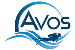 Avos